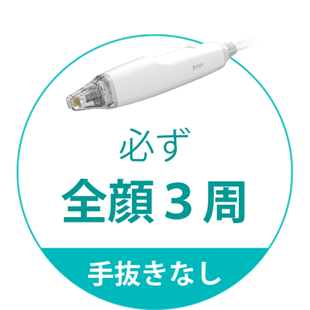 【手抜きなし】必ず全顔3周